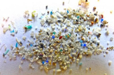 Scientists Call For A Ban On Microbeads