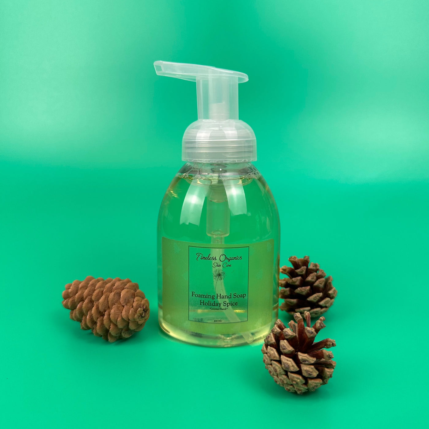 Holiday Spice Foaming Hand Soap